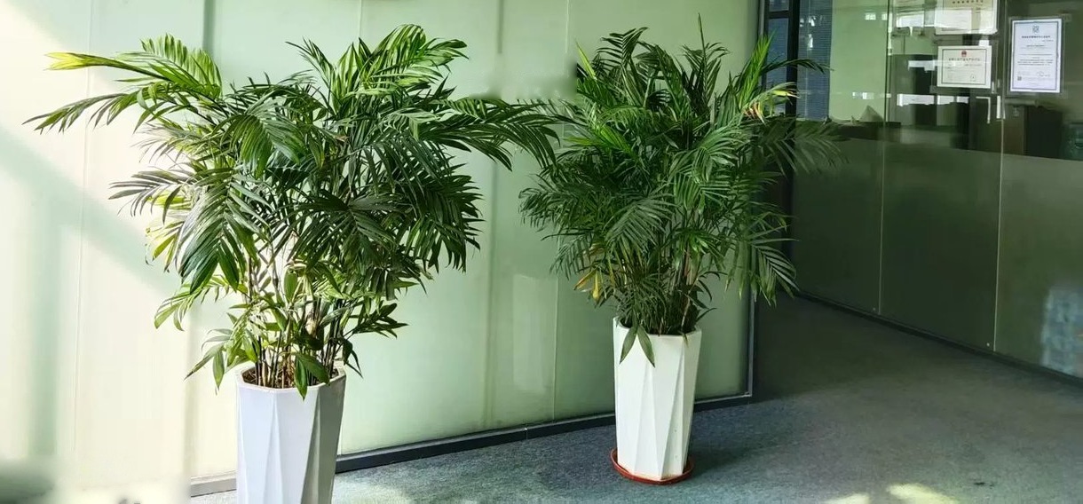 KindPack Pouch Packaging Co., Ltd. factory entrance